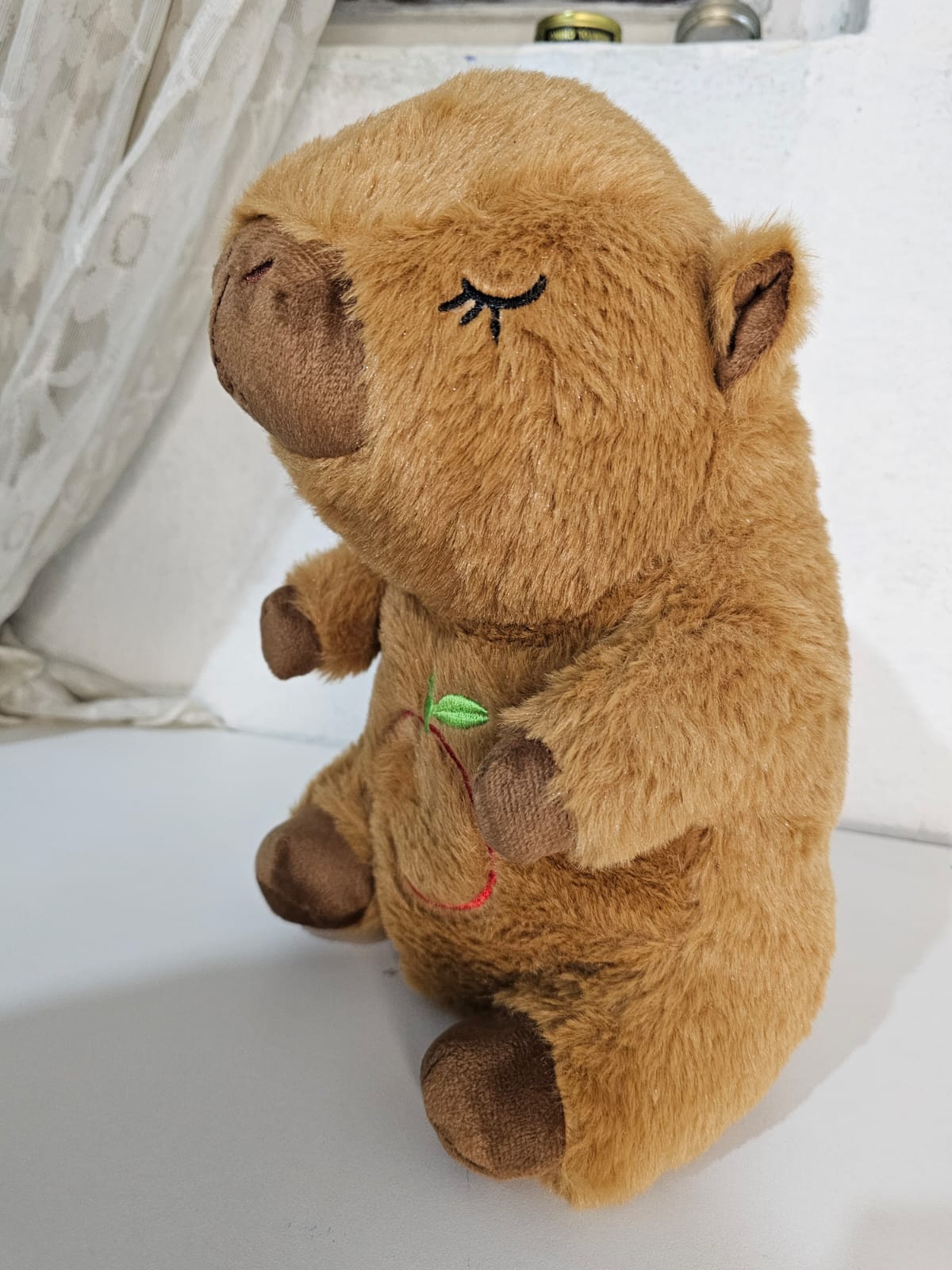 CAPIBARA QUE RESPIRA